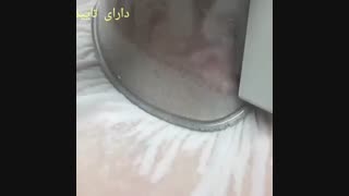 کرایو لیپولیز و لاغری موضعی سریع