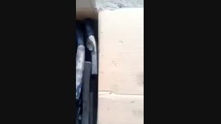 بهترین روش تولید زغال قلیایی