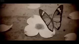 nightcore_killing_butterflies_نایتکور کشتن پروانه ها