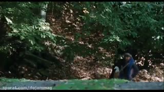 تیزر فیلم بهشت گمشده