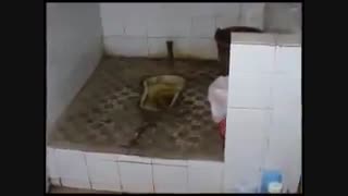 شهر چانگشا (چین) - Changsha City