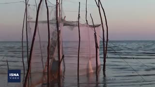 روش کهن صید «مُشتا» و مشکلات امروز آن