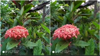 فروشگاه آقای موبایل