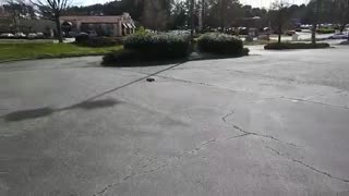 خرید ماشین کنترلی پر سرعت wltoys a979b/نوین آرسی