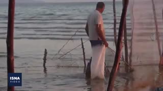 روش کهن صید «مُشتا» و مشکلات امروز آن
