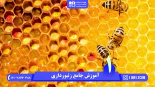 ساخت کندو عسل بصورت حرفه ای