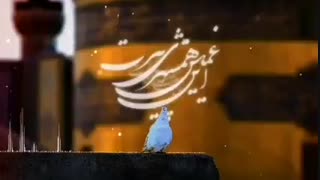 نماهنگ امام رضایی:مرحوم مهدی اخوان ثالت