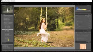 The simple Collection  -  Lightroom Presets