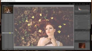 Portrait Collection - Lightroom Presets