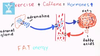 کافئین و کاهش وزن