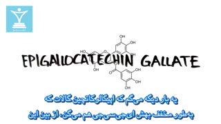 چای سبز و چربی سوزی