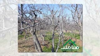 4000 متر باغ /522 متر ویلا /کهنز/شهریار