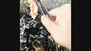 طبیعت گردی با معین
